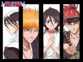 Bleach